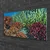tulup.si Slika na steklu Barrier reef narava 100x50 cm 2 obešalnika