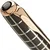 Nalivno pero Parker Sonnet Custom