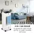 Oneconcept Coolster, hladilec zraka, ventilator, ionizator, 65 W, 320 m3/h , 4 l posoda, bela barva (ACO3-Coolster WH)