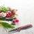 Paring knife, stainless steel, 8 cm - Westmark