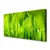 tulup.si Slika na platnu Green grass dew drops 125x50 cm