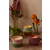 Dišeča sojina sveča Paddywax Saffron Rose 326 gr