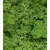 Premium mahovina, 500g