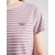 Levis Perfect T-shirt coriander stripe fragrant