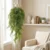Plezalka Pure Green 100 cm - 76 do 100 cm