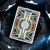 Igralne karte Star Trek - Light Version - T11-STAR-TREK-LIGHT