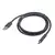 Gembird Kabel / Adapter USB kabl 1,8 m USB 2.0 USB A USB C Crno