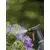 GARDENA Prskalica 0.75 l
