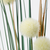 SMYCKA Veštački cvet, bela, 103 cmPrikaži specifikacije mera