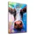 Wallity slika CAM-2027, 46x72cm