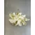 Opviq zidna lampa APG0010, 1 × GU10, krem