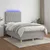 vidaXL Box spring postelja z vzmetnico LED sv. siva 120x190 cm blago