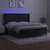 Vidaxl Box spring postelja z vzmetnico LED črna 160x200 cm žamet