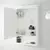 HEMNES Ormarić s ogledalom s 1 vratima, bela, 63x16x98 cm