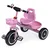 ECOTOYS Tricikl sa neklizajućim rukohvatima, zvoncem i korpom, Roze