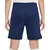 Nike Dri Fit Academy 25 Shorts Modra