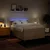 vidaXL Box spring postelja z vzmetnico krem 160x200 cm blago