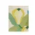 CONCEPTUM HYPNOSE Tepih (200x300) 130
