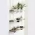 Hanah Home GAR006 Zidna polica, Braon