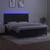 Vidaxl Box spring postelja z vzmetnico LED črna 160x200 cm žamet