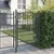 Vidaxl Vrata ograje s bodicami EMMEN 170 x 100 cm