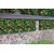 Umetna zelena stena G21 Listo Herb, 50x50 cm