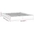 shumee vidaXL Posteljni okvir 200 x 200 cm masiven les