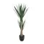 MID.YOU Umetna Rastlina Yucca