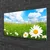 tulup.si Steklena slika Daisy grass nature 100x50 cm 2 obešalnika