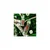Tesori d´Oriente Tesori d'Oriente Forest Ritual toaletna voda 100 ml x2