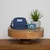 Pikolin Mini torba za fotoaparat - Navy (za Rookie i Expert) ( 12454 )