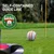 INF 3-slojne turnirske žogice za golf, (21836478)