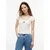 Tommy Jeans Majica  mornarska / rdeča / bela