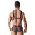Muški sexy veš Axel Harness 2, Crni