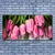 tulup.si Steklena slika Tulipani na wall 140x70 cm 2 obešalnika
