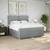 Vidaxl Box spring postelja z vzmetnico svetlo siva 200x200 cm blago
