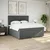 Vidaxl Box spring postelja z vzmetnico temno siva 200x200 cm blago