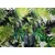 Decormat Vinilna preproga Palm listi 80x120 cm