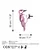 Atelier Del Sofa Dekorativna figura Bird on the branch 21, 30x18 cm, 1.5 mm, Roze