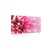 Slika cvet vrtnice - 150x100