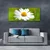 tulup.si Slika na platnu Daisy rastlin narava 125x50 cm