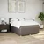 Vidaxl Box spring postelja z vzmetnico taupe 160x200 cm blago