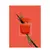 Narciso Rodriguez Narciso Rouge