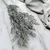 Stabiliziran Ruscus - (Ruscus) - mat zelen