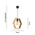 OPVIQ Luster Hexagon Single Glass