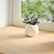 Prozorske klupice 2 kom 80x40x2 cm netretirane masivne hrast