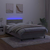 vidaXL Box spring postelja z vzmetnico LED sv. siva 120x190 cm žamet