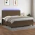 Vidaxl Box spring postelja z vzmetnico LED temno rjava 200x200cm blago