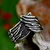 Prstan Double Wings - SS8-1224R