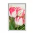 Plakat spomladanski tulipani - 40x60 no frame